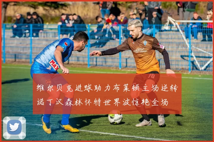 维尔贝克进球助力布莱顿主场逆转诺丁汉森林怀特世界波惊艳全场