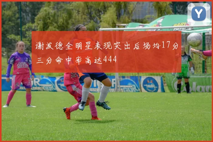 谢泼德全明星表现突出后场均17分三分命中率高达444