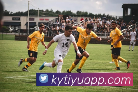 开云体育APP品牌故事