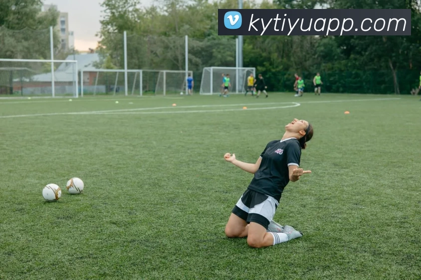 开云体育APP服务体系